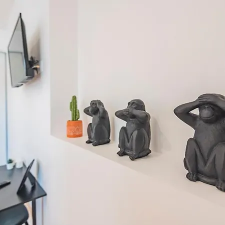 Stuart Elegance Vue Cathedrale Appartement Reims